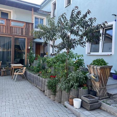 Apartmán Antike Wohnmoeglichkeit Kurz Und Langfristig 100Qm Erdgeschoss Lauchhammer Exteriér fotografie